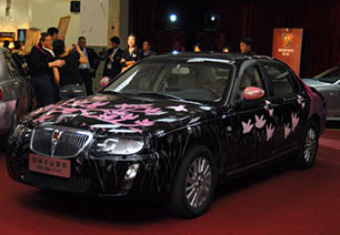 Roewe car painted by Anna Glynn