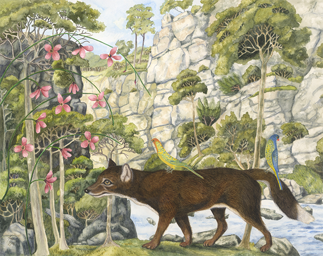 AMUSEMENT Exhibition Anna Glynn George Stubbs Dingo