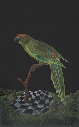 parrot was endemic to Lord Howe and is extinct since 1870