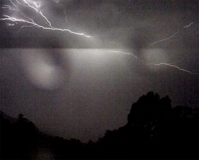 Still from Antipodean Nocturne moving image work by Australian Artist Anna Glynn filmed from a rainforest eyrie overlooking the Pacific Ocean